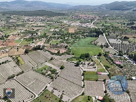KUŞADASI KİRAZLI da SATILIK ÜZÜM BAĞI ANA YOLA YAKIN - AYDIN KUŞADASI fotoğraf 15