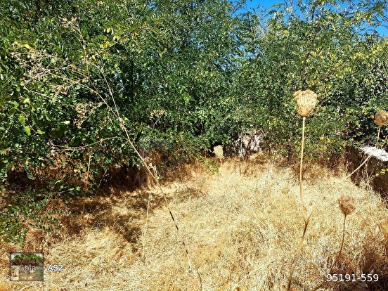 KOZAK YAYLASINDA YUKARIBEY MAH DE 330 m2 ARSA - İZMİR BERGAMA fotoğraf 3