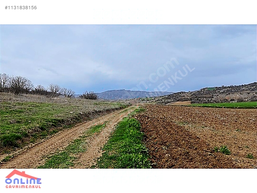 Araç Takaslı - BİLECİK YENİPAZAR fotoğraf 18