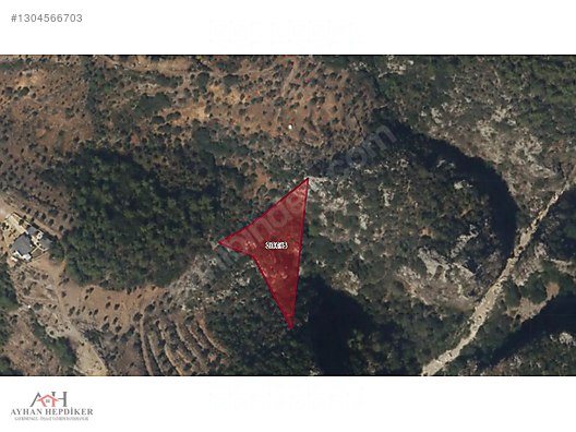 Zeytinköy'de Akbük Yolu Üzerinde, Geleceğin Değeri: 4.188m²tarla - MUĞLA MENTEŞE fotoğraf 17