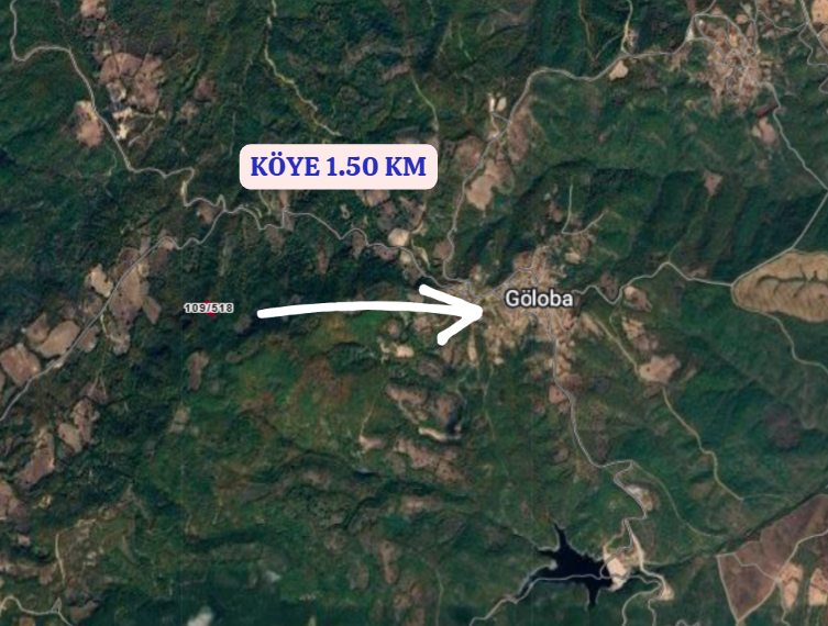 BALIKESİR BALYA GÖLOBA  KÖYÜNDE 2.681 M² TARLA SATILIKTIR - BALIKESİR BALYA fotoğraf 4
