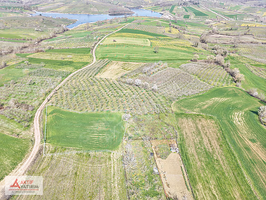HEDİYELİDE DOĞA VE GÖL MANZARASI BİR ARADA 877 M² FIRSAT TARLA - KOCAELİ KANDIRA fotoğraf 4