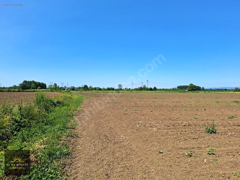 ERENLER KAMIŞLI MAHALLESİNDE SATILIK 3.370 M2 TARLA - SAKARYA ERENLER fotoğraf 5