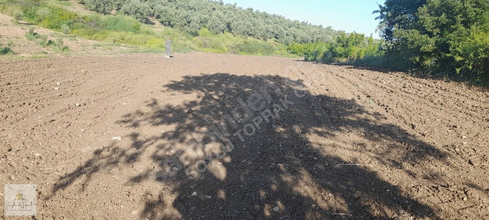 BALİKESİR GÖNEN HAVUTCA KOY CİVARİ 1.440,83m2 - BALIKESİR GÖNEN fotoğraf 5