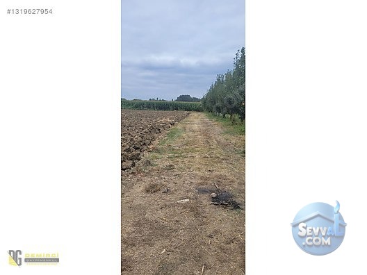 Ali Bey Köy'de Satılık Tarla 7884 M², Sulama Hatlı, Yola Yakın - BURSA İNEGÖL fotoğraf 2