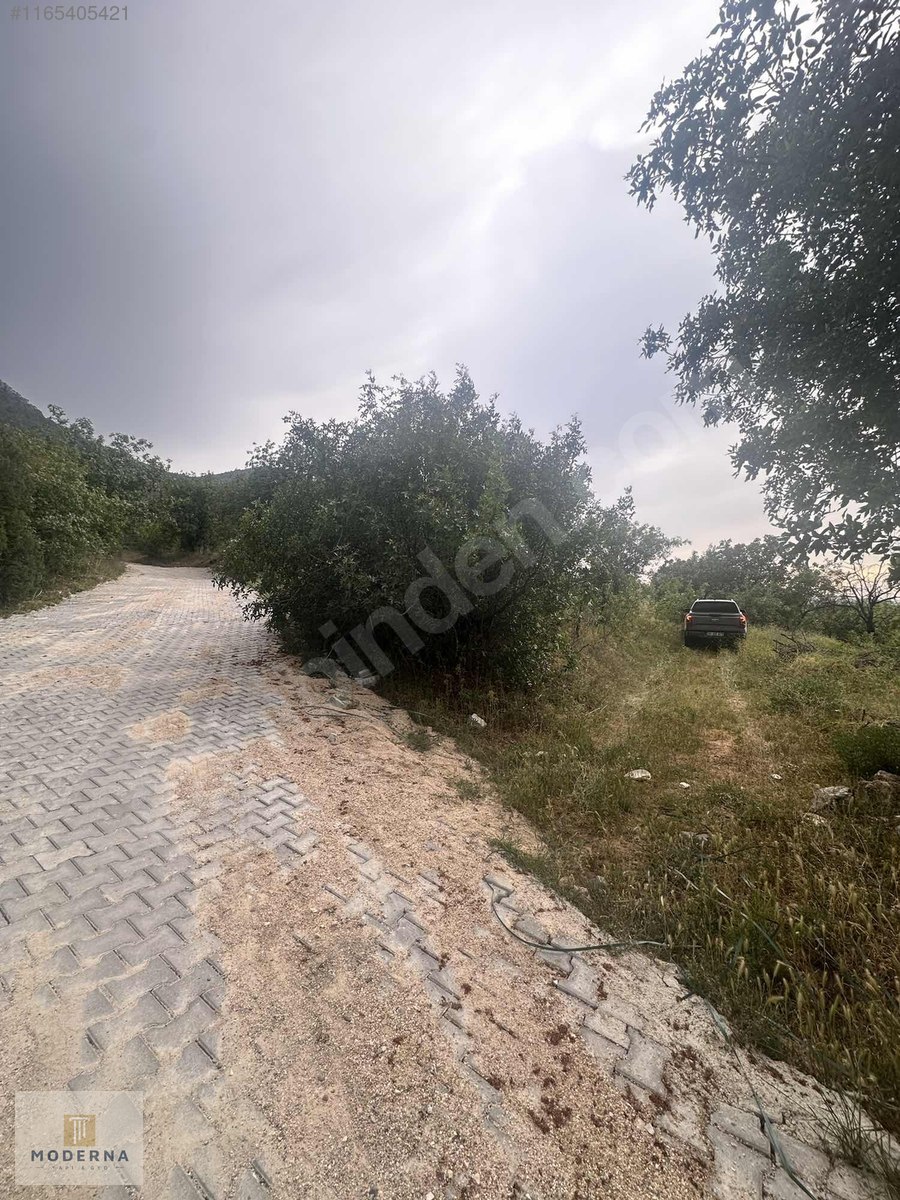 MİHALGAZİ DEMİRCİLER'DE KÖY İÇİ YOLA CEPHELİ 320 M2 - ESKİŞEHİR MİHALGAZİ fotoğraf 4