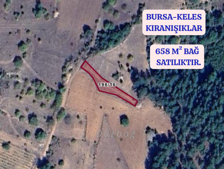 BURSA KELES KIRANIŞIKLAR KÖYÜNDE  658  M² BAĞ SATILIKTIR - BURSA KELES fotoğraf 2