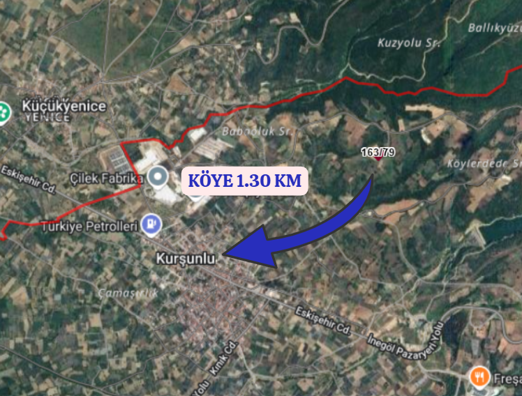 BURSA İNEGÖL KURŞUNLU KÖYÜNDE 2.400  M² TARLA SATILIKTIR - BURSA İNEGÖL fotoğraf 4