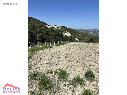 RESMİ YOLLU ARAZİ - BİLECİK YENİPAZAR fotoğraf 10