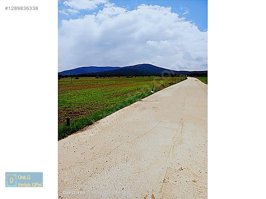 ÜNLÜ EMLAKTAN ŞEHRE YAKIN KONUMDA ACİL SATILIK ÇİFTLİK ARAZİSİ - KASTAMONU DADAY fotoğraf 18