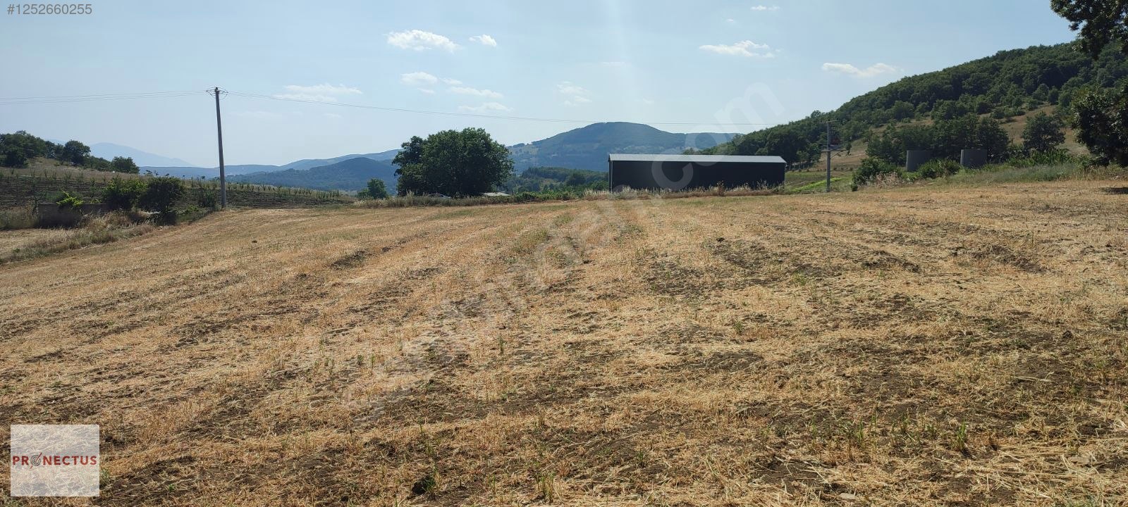YÖRÜKLER MAHALLESİNDE ASFALT YOLA CEPHE SATILIK 5833 M2 TARLA - BURSA İZNİK fotoğraf 3