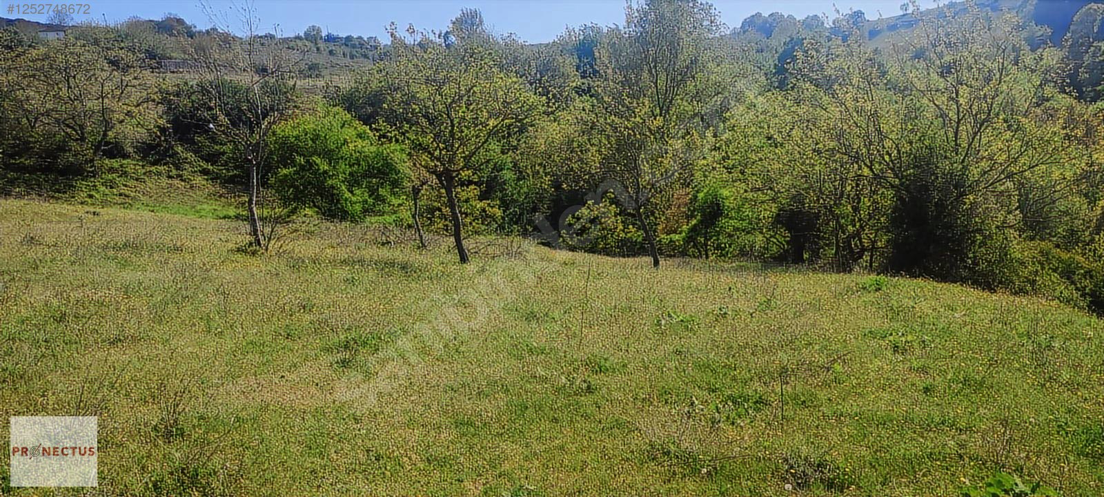 FULACIK MAHALLESİ'NDE RESMİ YOLA CEPHE SATILIK 3516 M2 ARSA - KOCAELİ KARAMÜRSEL fotoğraf 6