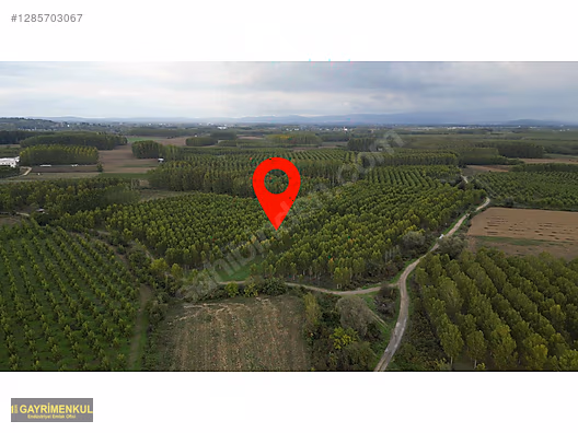YATIRIM FIRSATI! ERENLER/ŞEYHKÖY MAH. 24.620 M² - SAKARYA ERENLER fotoğraf 23
