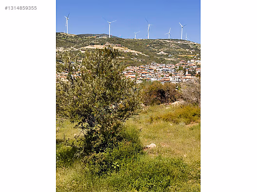 PANORAMİK MANZARALI YATIRIMLIK ZEYTİNLİK - HATAY YAYLADAĞI fotoğraf 25