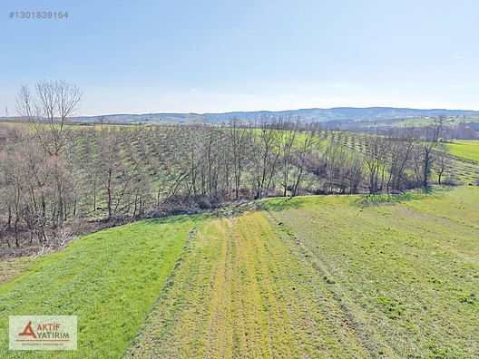 Kandıra Hacışeyh Mahallesinde Yerleşime Yakın 1975 m² Tarla ! - KOCAELİ KANDIRA fotoğraf 26