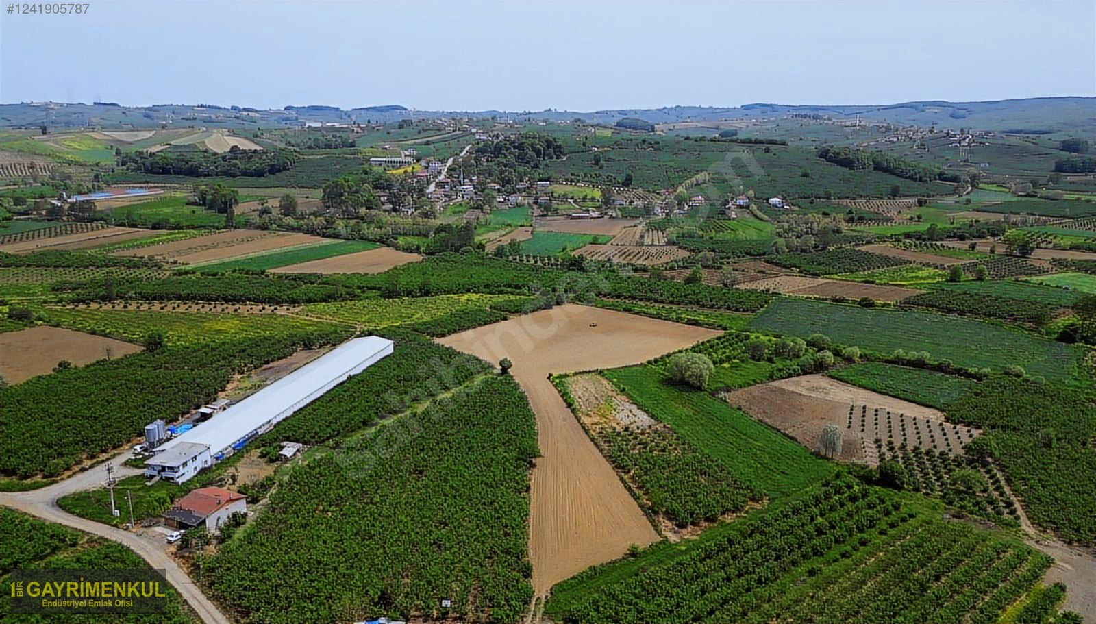 11.752 M² FIRSAT FINDIK BAHÇESİ SAKARYA KAYNARCA ZİAHMET MAH. - SAKARYA KAYNARCA fotoğraf 19