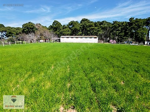 Çanakkale Bayramiç Kutluoba Satılık Tarla - ÇANAKKALE BAYRAMİÇ fotoğraf 23