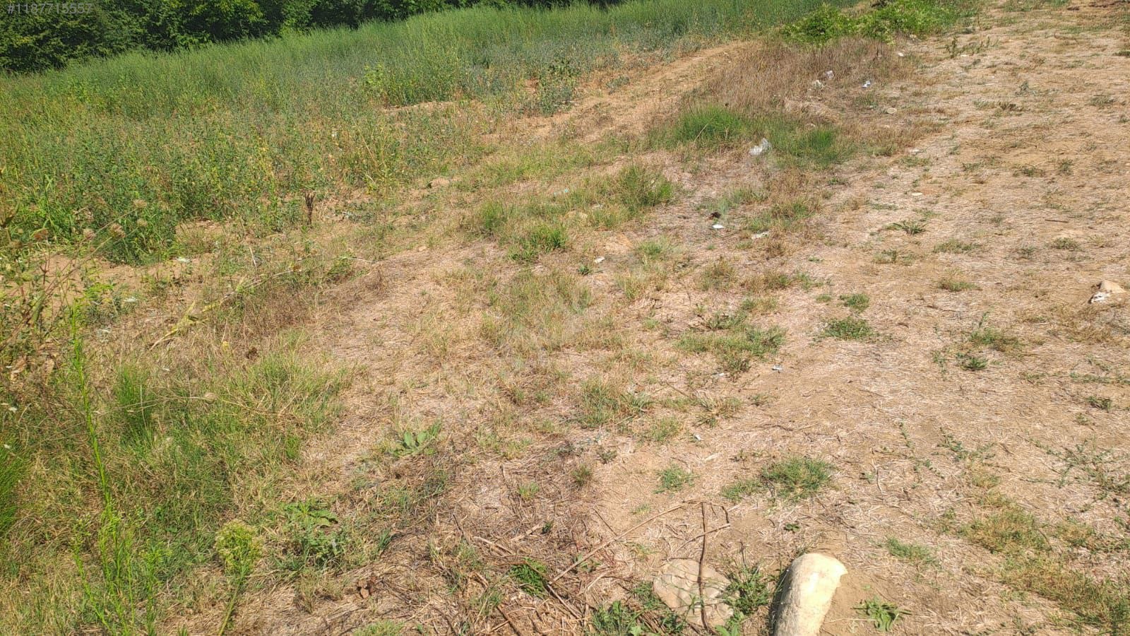 BURSA KESTEL KOZLUÖREN KÖYÜNDE  BAHÇENİN 2.700 M² Sİ SATILIKTIR. - BURSA KESTEL fotoğraf 5