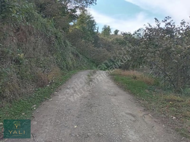 YALI GAYRİMENKUL | BURUNUCU/TALİPLİ'DE SATILIK 4'DÖNÜM ARSA - GİRESUN BULANCAK fotoğraf 9