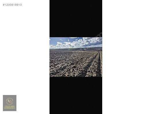 EDİRNE UZUNKÖPRÜ MEŞELİ'DE 7.624M2 UYGUN ARSA - EDİRNE UZUNKÖPRÜ fotoğraf 4