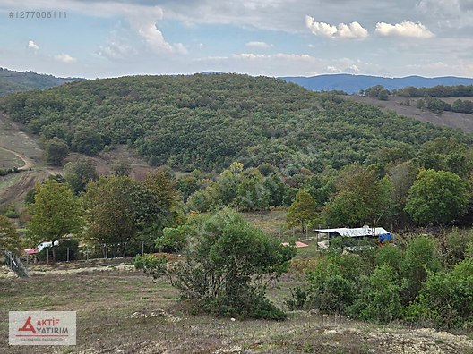 İZMİT NEBİHOCA MAHALLESİNDE SATILIK 2.994 m² MÜSTAKİL TARLA - KOCAELİ İZMİT fotoğraf 16