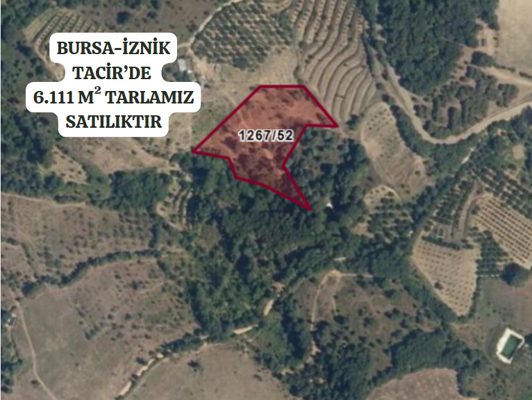 BURSA İZNİK TACİR'DE 6.111 M² TARLAMIZ SATILIKTIR - BURSA İZNİK fotoğraf 2