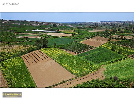 YATIRIM FIRSATI 3.962 M² TARLA FERİZLİ SARIAHMETLER MAH. - SAKARYA FERİZLİ fotoğraf 20