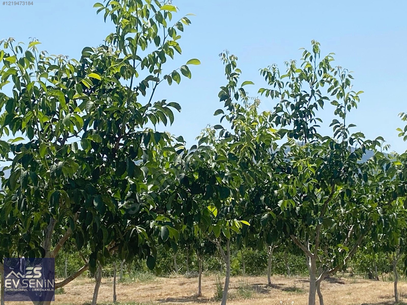 BURSA KARACABEY YARIŞ'TA DOĞA MANZARALI SATILIK 10.150 M2 ARAZİ - BURSA KARACABEY fotoğraf 8