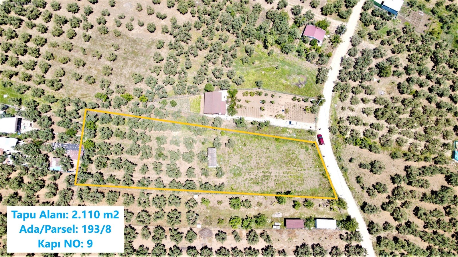 BURSA MUDANYA ÇEPNİ KÖYÜNDE 2.110 M² ZEYTİNLİK SATILIKTIR. - BURSA MUDANYA fotoğraf 17