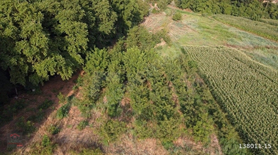 Uçar Emlak'tan Balıkesir/Gönen'de doğa ile iç içe 8.258 m2 Meyvalık - BALIKESİR GÖNEN fotoğraf 9