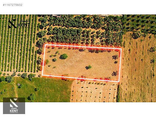 Kemalpaşa Armutlu Satılık 2300 m2 Bahçe Müstakil Parsel Tek Tapu - İZMİR KEMALPAŞA fotoğraf 9