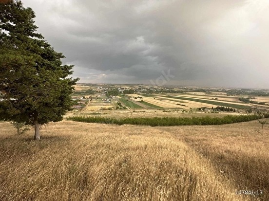 KUZUÇARDAĞI KÖYÜNDE 2245 M2 MÜSTAKİL TAPU %60 İMARLI ARSA - KIRKLARELİ BABAESKİ fotoğraf 19