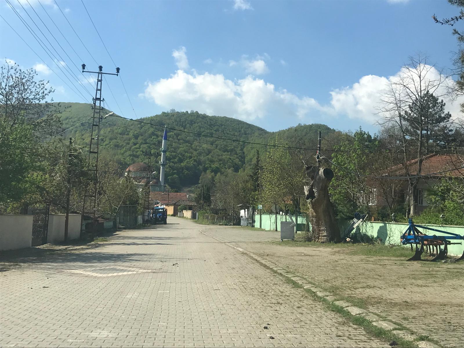 ARAÇ TAKASLI .! YALOVA ALTINOVA ÇAVUŞ'DA 2 DÖNÜM MÜSTAKİL - YALOVA ALTINOVA fotoğraf 3
