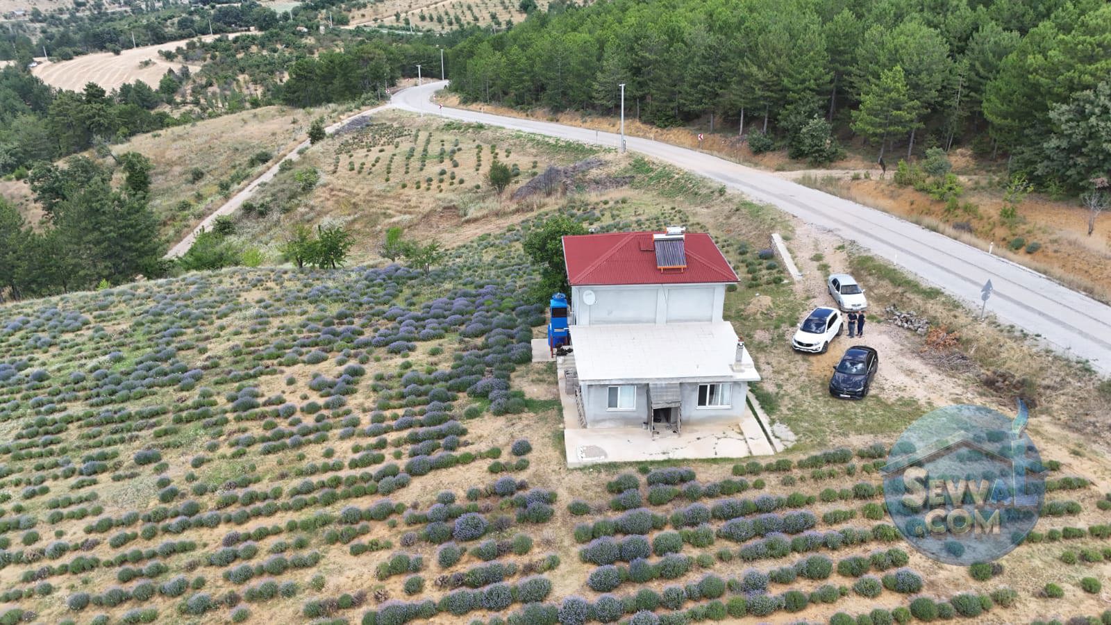 Kütahya'da 14.035m² İçerisinde Lavanta Bahçesi-Yağ Sıkma Fab.-Evi Satılıktır - KÜTAHYA ŞAPHANE fotoğraf 14