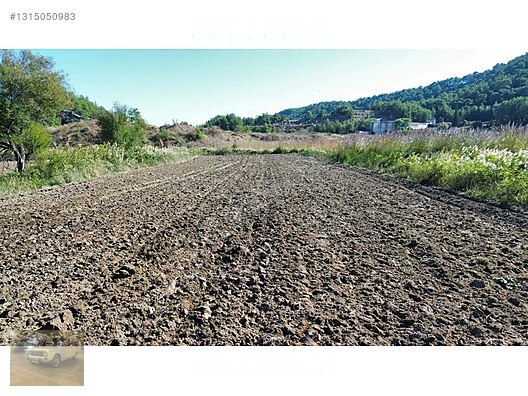 3.199 m² SATILIK SULAK TARLA - ANTALYA AKSU fotoğraf 7