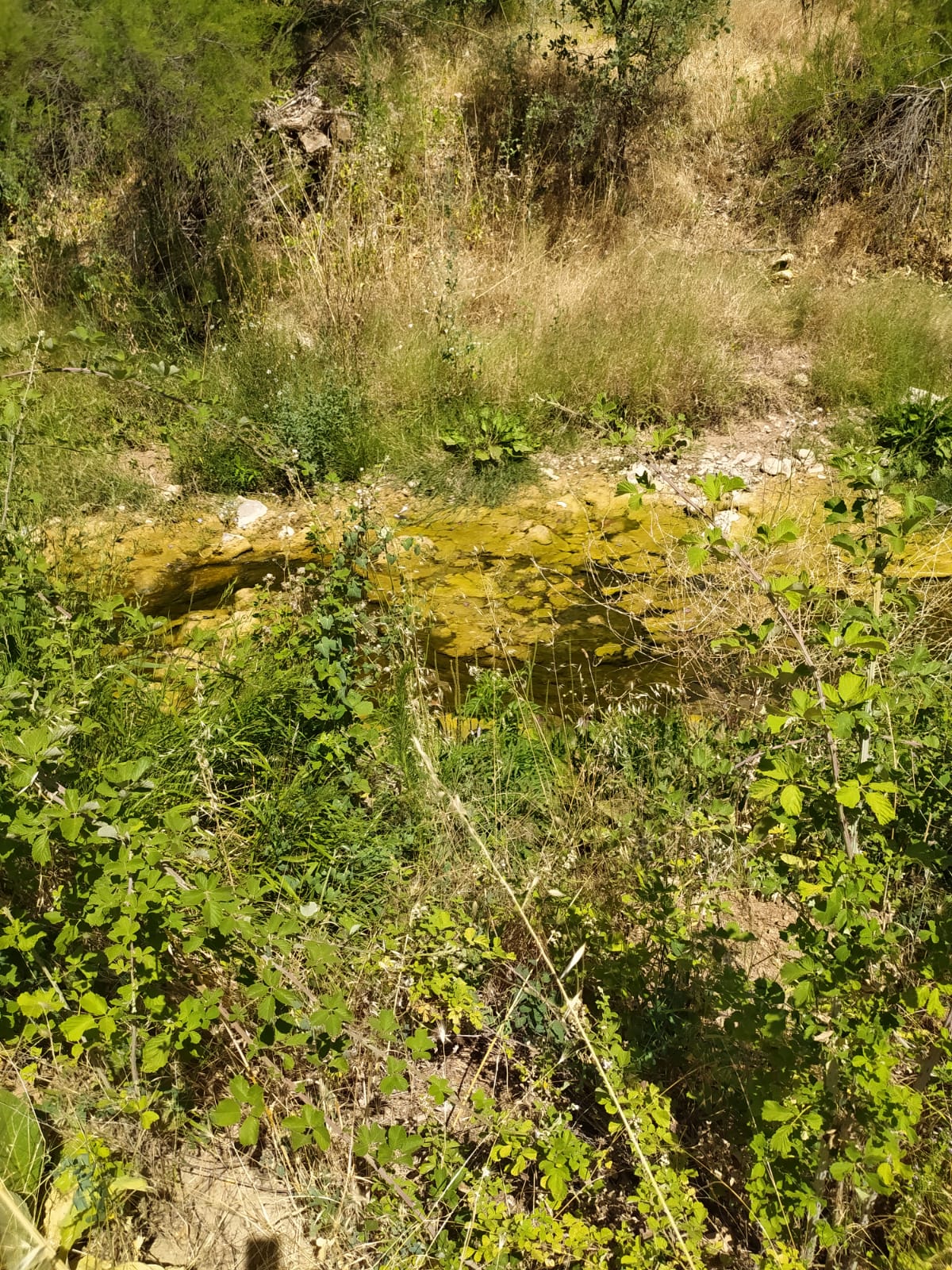 🌿 DİKEN ÇAYINA VE KÖY YOLUNA CEPHELİ – KARABEYLİ / MERKEZ /UŞAK - UŞAK MERKEZ fotoğraf 2