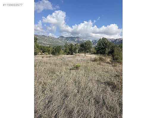 Antalya / Akseki / Erenyaka Mahallesinde  1.551 m² SATILIK ARSA  - ANTALYA AKSEKİ fotoğraf 4