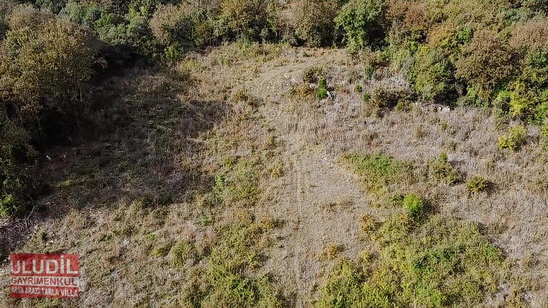 KANDIRA ÇALKÖYDE SATILIK TARLA - KOCAELİ KANDIRA fotoğraf 2
