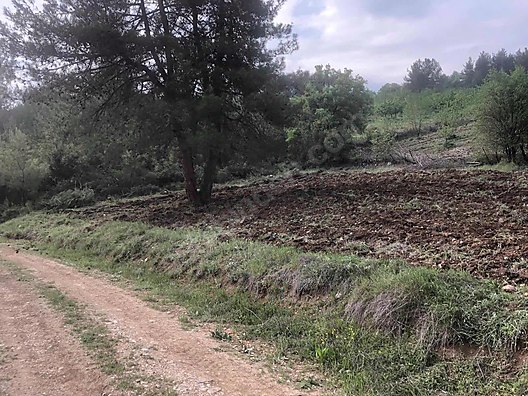 BURSA KELEŞ  BELENÖREN'DE 825 M²  TARLA  SATILIKTIR. - BURSA KELES fotoğraf 12