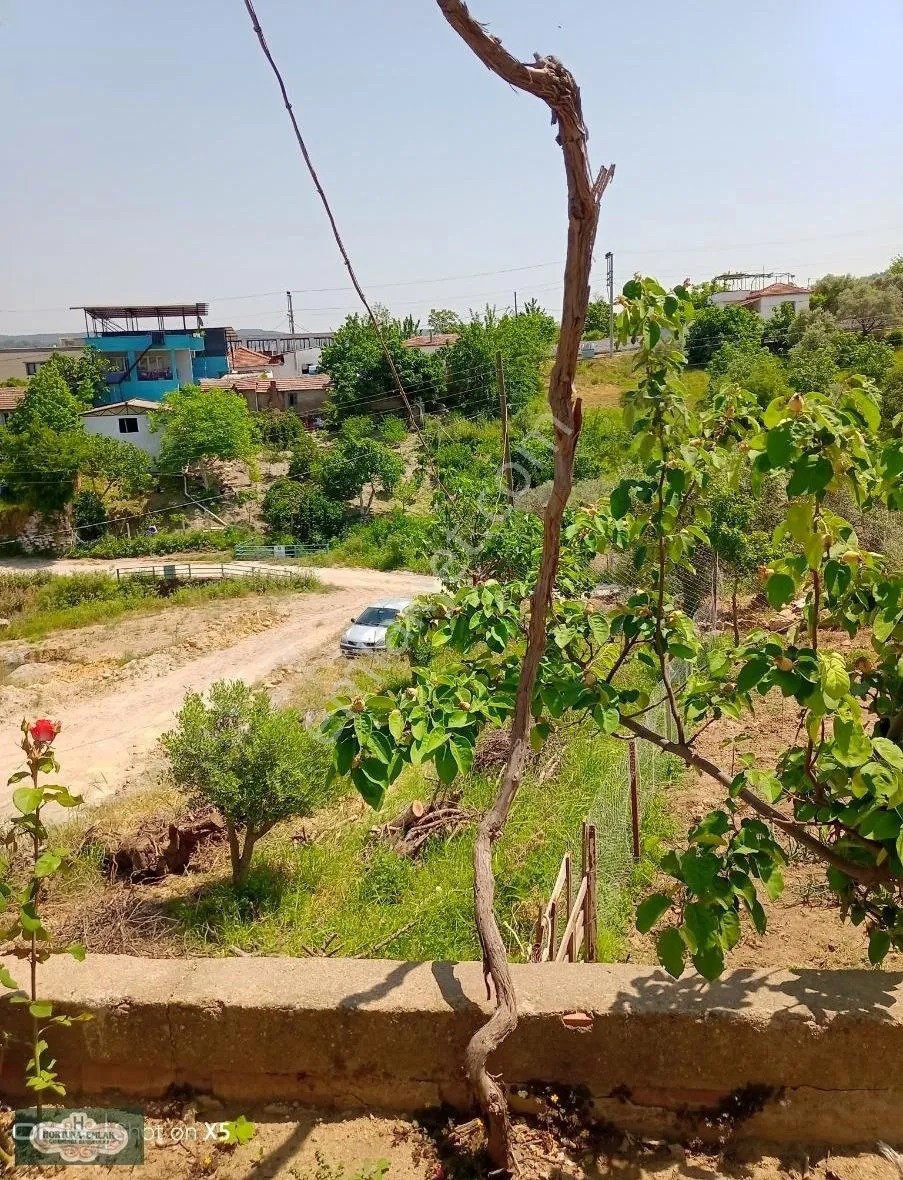 İzmir Torbalı Çamlıca Köyünde Köy Evi - İZMİR TORBALI fotoğraf 13