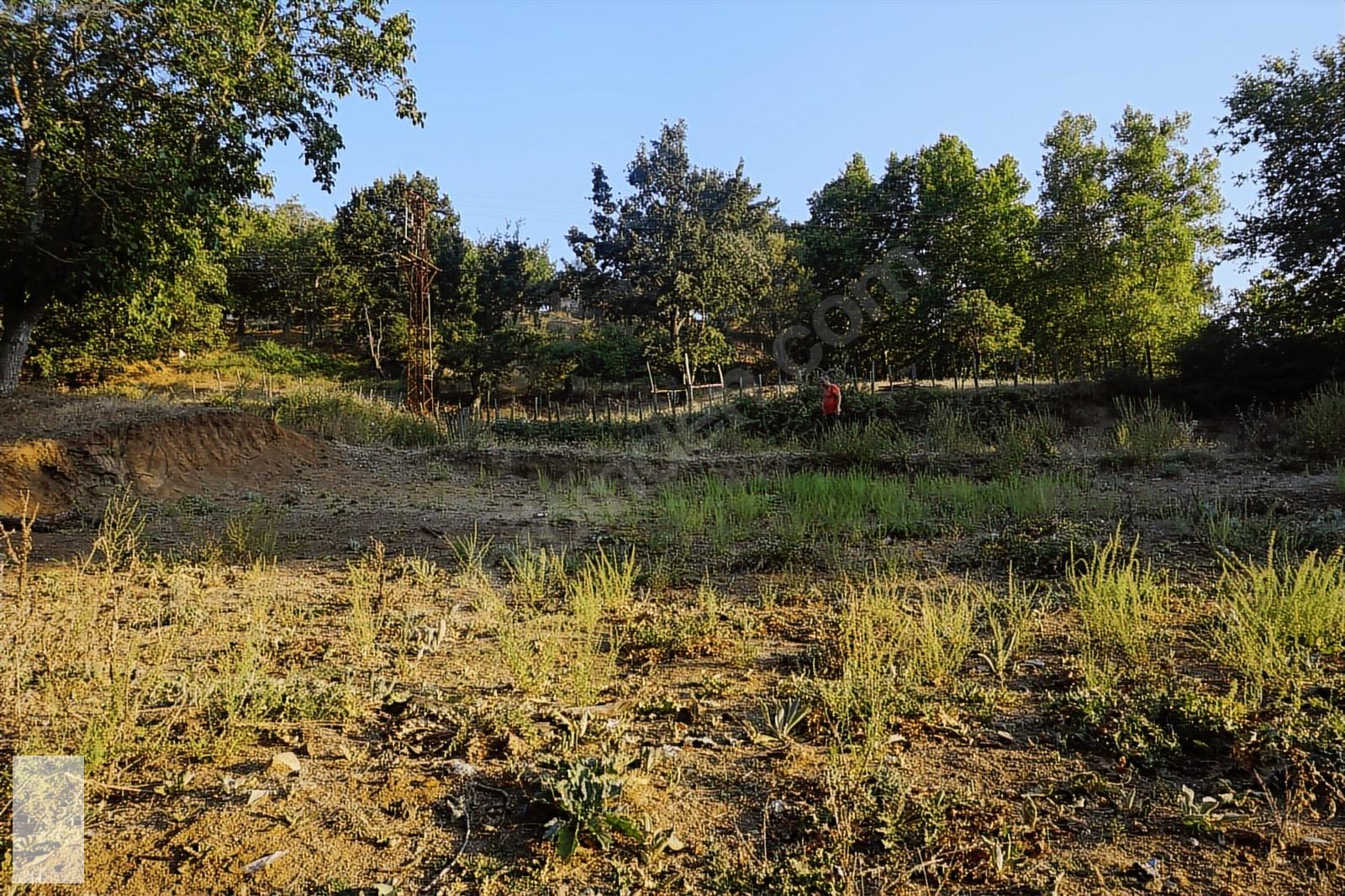ÇANAKKALE BAYRAMİÇ SERHAT KÖYÜ 592 m2 % 80 İMARLI ARSA - ÇANAKKALE BAYRAMİÇ fotoğraf 28