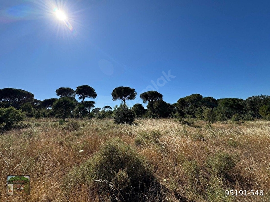 BERGAMA KOZAK YAYLASI YUKARIBEY MAH DE 13300 m2 FISTIKLIK - İZMİR BERGAMA fotoğraf 3