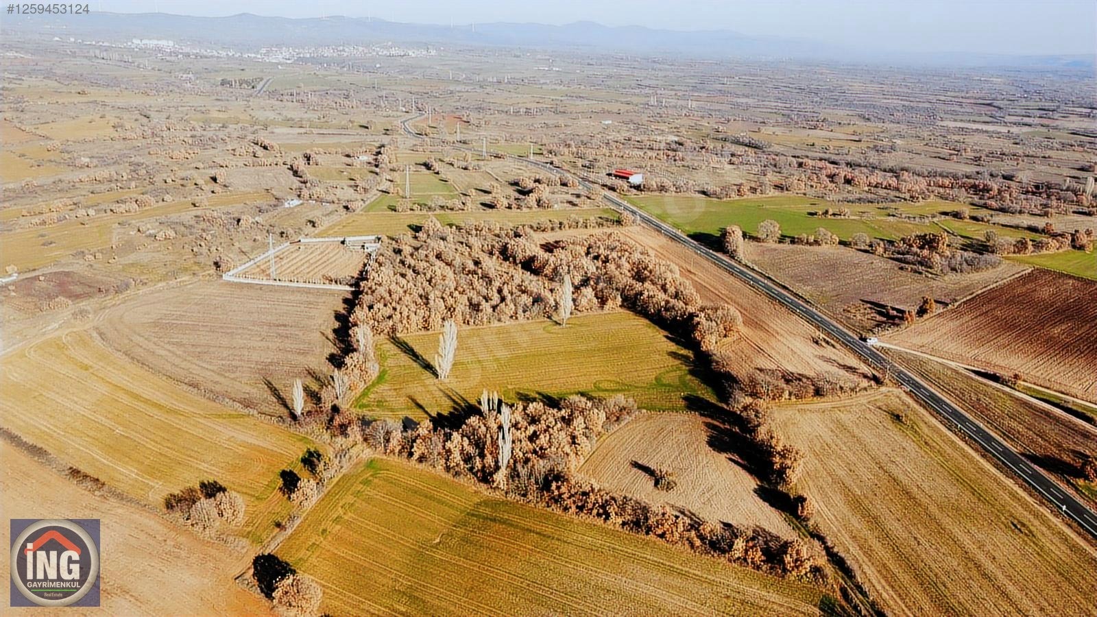 KIRKLARELİ ÜSKÜPTE ORGANİZEYE ASFALTA YAKIN BÜYÜK ARAZİ - KIRKLARELİ MERKEZ fotoğraf 4