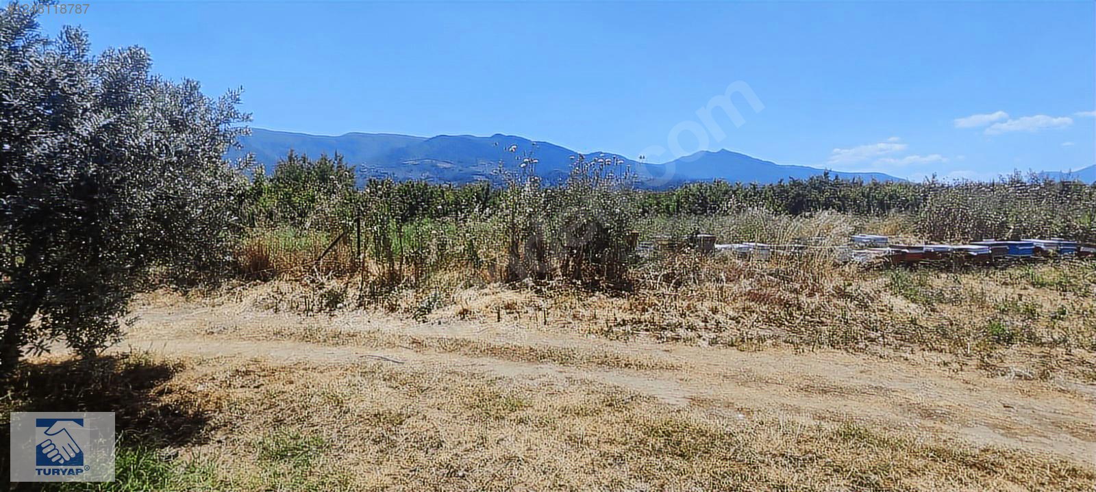 Kemalpaşa Örende 1234 M2 Satılık Müstakil Bahçe - İZMİR KEMALPAŞA fotoğraf 7