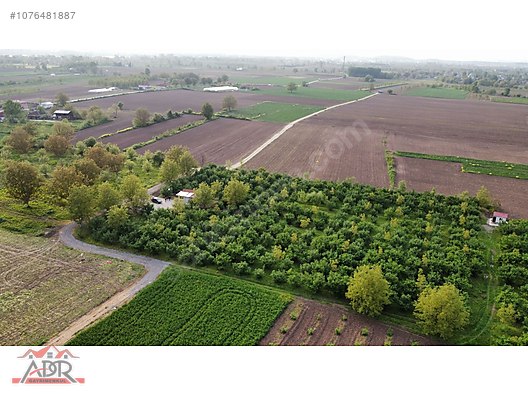 SAKARYA ARİFİYE KEMALİYE KÖYÜNDE 10866M2SATILIK.yıl sonuna kadar - SAKARYA ARİFİYE fotoğraf 2