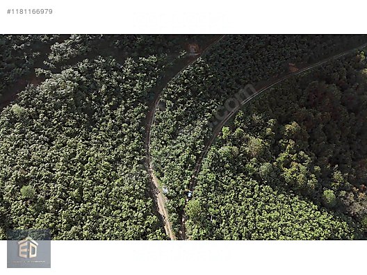 YOMRA GÜLYURDUN'DA SATILIK 6.298M2 ARSA - TRABZON YOMRA fotoğraf 10