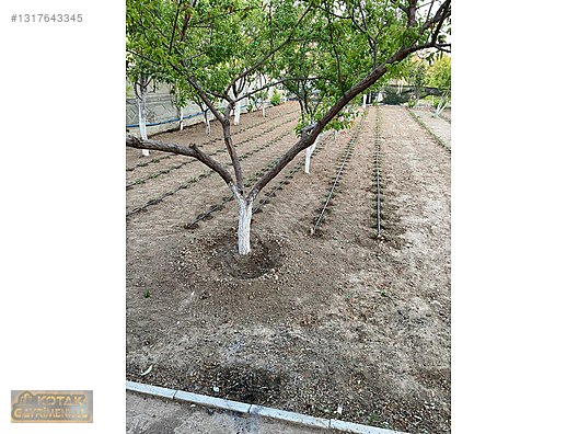 TOPAKKAYA MEDENİ BÖLGESİNDE HAZIR KURULU 700 M2 BAHÇE VE ARSASI - AKSARAY MERKEZ fotoğraf 12