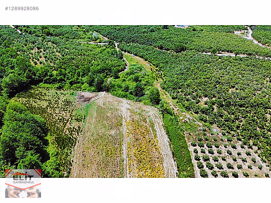 SAKARYA KARASU'DA SATILIK FRSAT KÖY İÇİNDE 635 metre² KUPON ARSA - SAKARYA KARASU fotoğraf 3