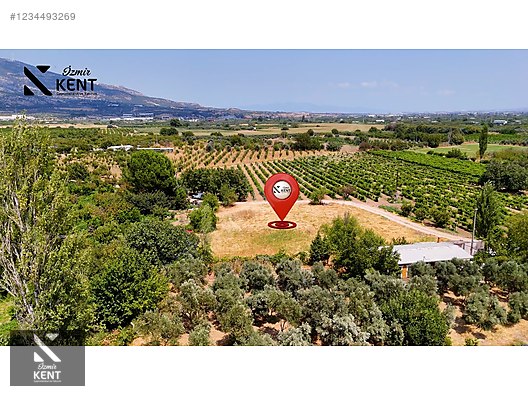 Kemalpaşa Yukarıkızılca Satılık 408 m2 Bahçe - İZMİR KEMALPAŞA fotoğraf 4