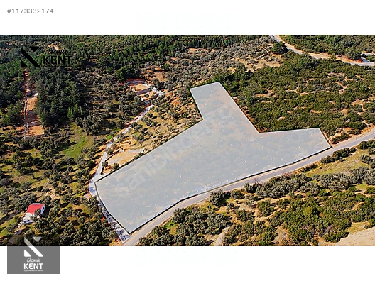 Kemalpaşa Sütçüler Satılık 11.398 m2 Bahçe - İZMİR KEMALPAŞA fotoğraf 18